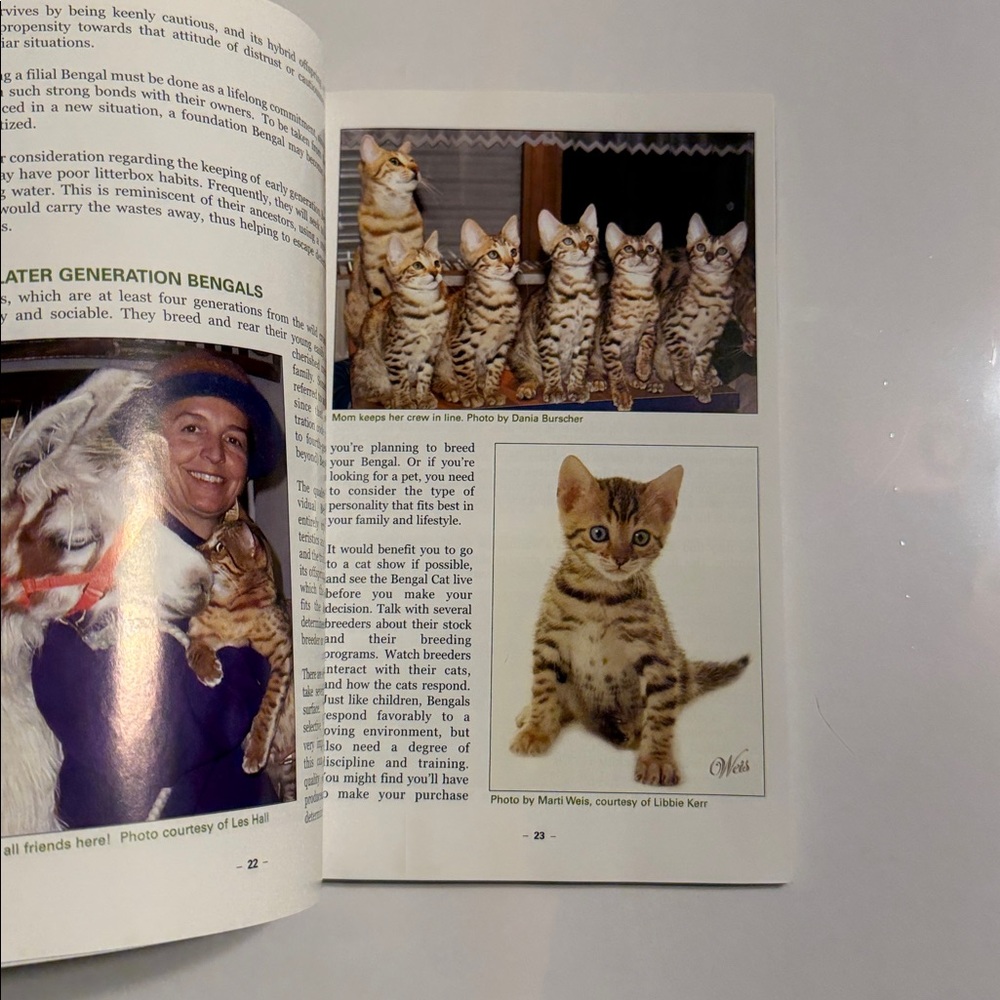 Gene Ducote. Getting to Know the Bengal Cat Book - Picture 4 of 4